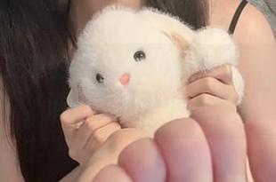 Seele麦麦的“Pardofelis”全套下载，谁还不是个小妖精呢