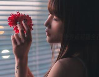 星野咪兔的美图宝典，你要的小宠物养成秘籍全在这儿！