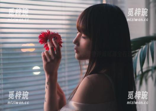 星野咪兔的美图宝典，你要的小宠物养成秘籍全在这儿！