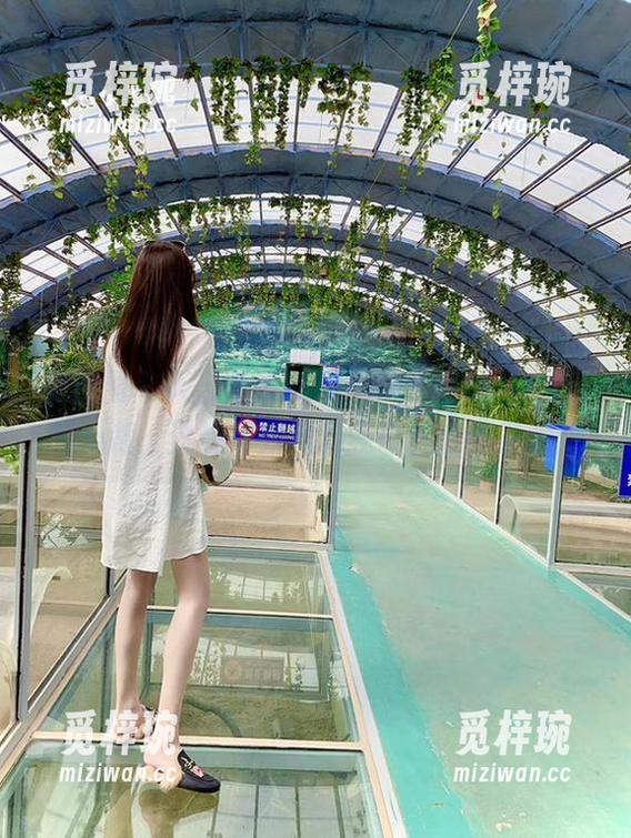 林子喵Lynne 微密圈 - 天台的更新里,林子喵Lynne别出心裁,这种居家风格我已经受不了啦!