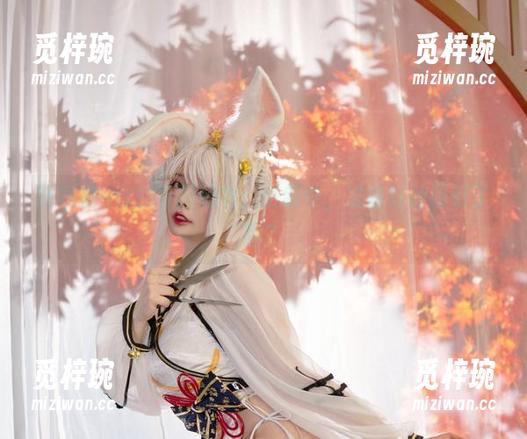阿寨寨 阿寨寨–你的专属秘书:更新中,准备好被吸引了吗?